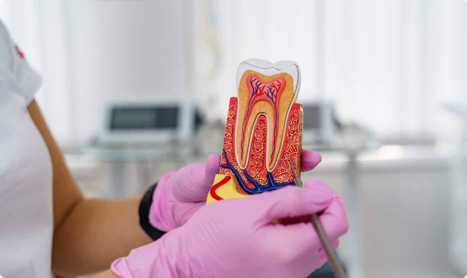 professional-gum-care